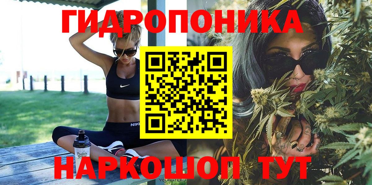 Канабис гибрид Тимашёвск